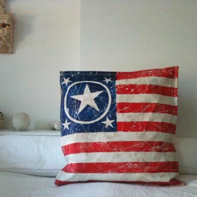 Pillow — 2010 24" x 24" x 6" — Silk screen won Cotton canvas  PRIVÉ: NYC — USA, private collection.