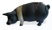 YNOT-Pig