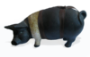 YNOT-Pig